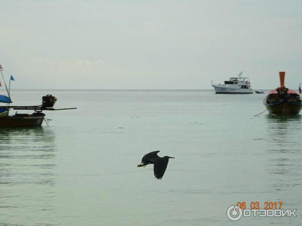 Остров Koh Lipe, Таиланд