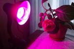 Светодиодная лампа Uniel LED для растений фото