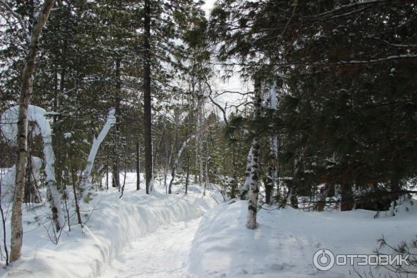 Байкальский заповедник Танхой (Россия, Иркутская область) фото