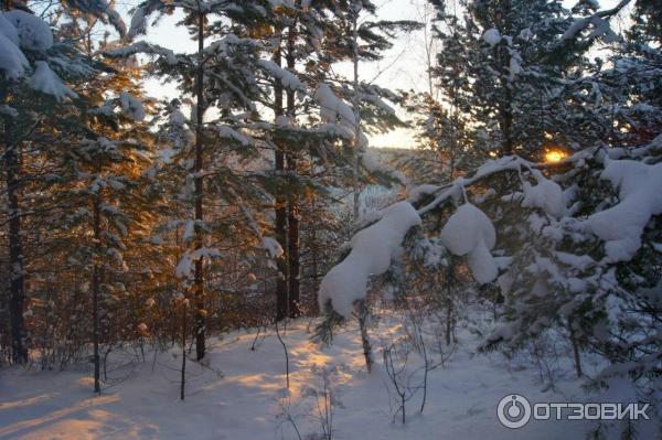 Байкальский заповедник Танхой (Россия, Иркутская область) фото