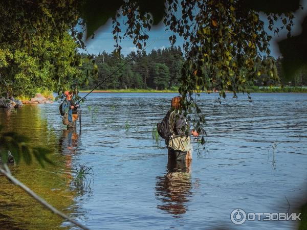 Отдых в Лосево и рафтинг на р. Вуокса (Россия, Ленинградская область) фото