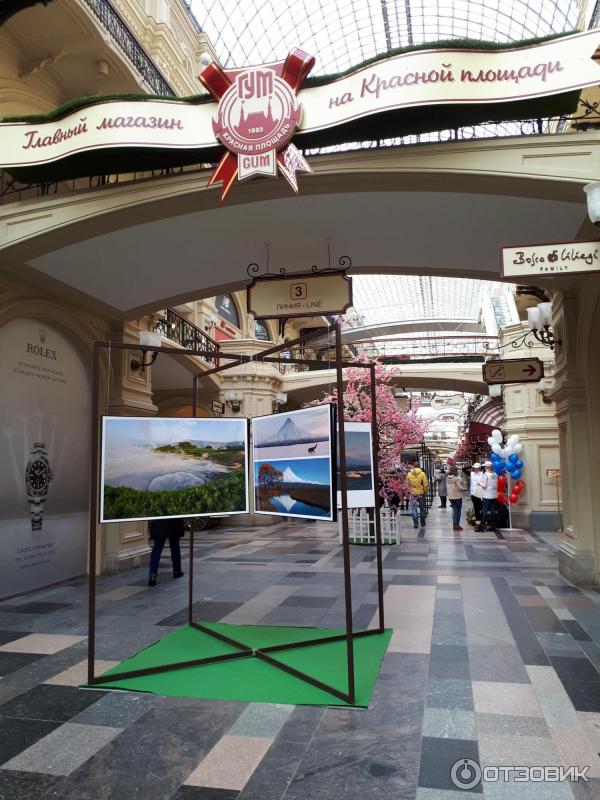 Выставка фотографий Игоря Шпиленка Сто заповедных лет (Россия, Москва)