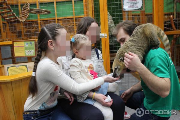 Ручной Zоопарк в ТРЦ Эльград город Электросталь