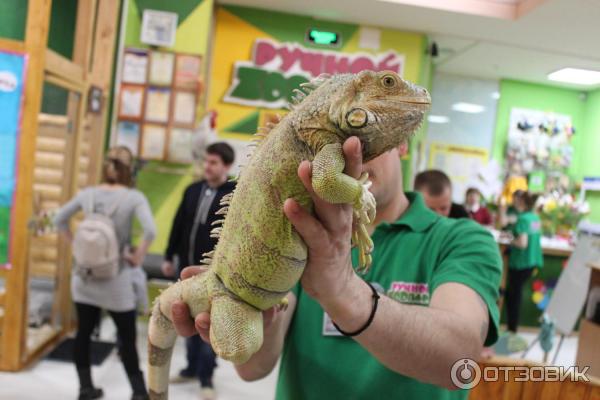 Ручной Zоопарк в ТРЦ Эльград город Электросталь