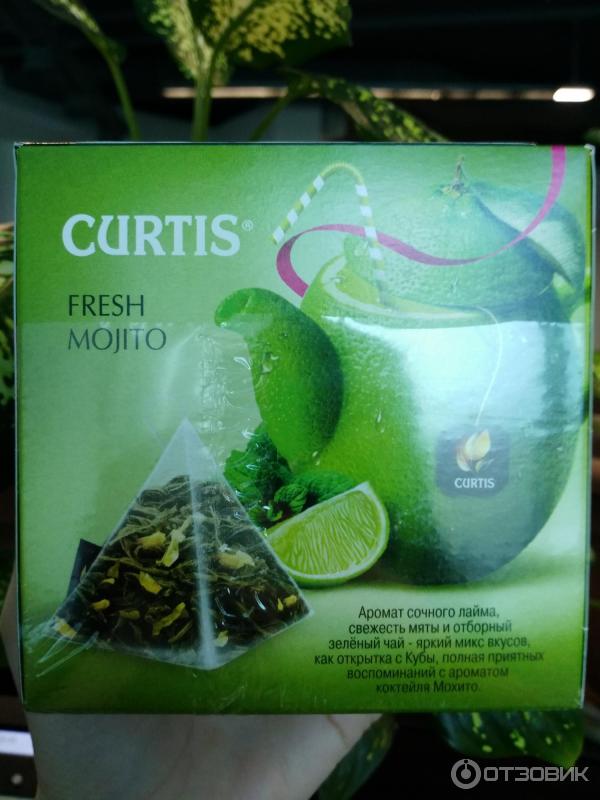 Чай зеленый Curtis Fresh Mojito фото