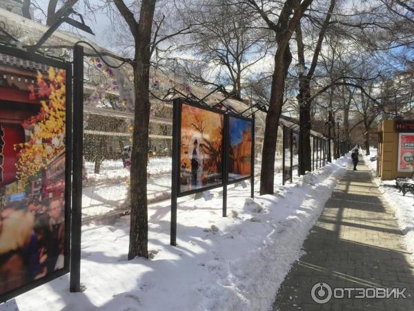 Фотовыставка Япония Традиции и современность на Тверском бульваре (Россия . Москва)