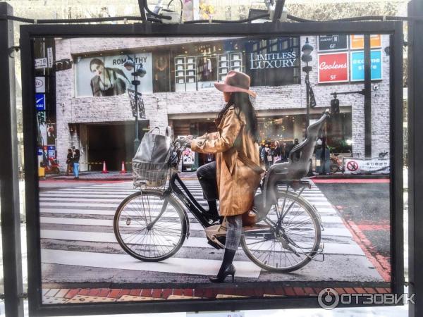 Фотовыставка Япония Традиции и современность на Тверском бульваре (Россия . Москва)