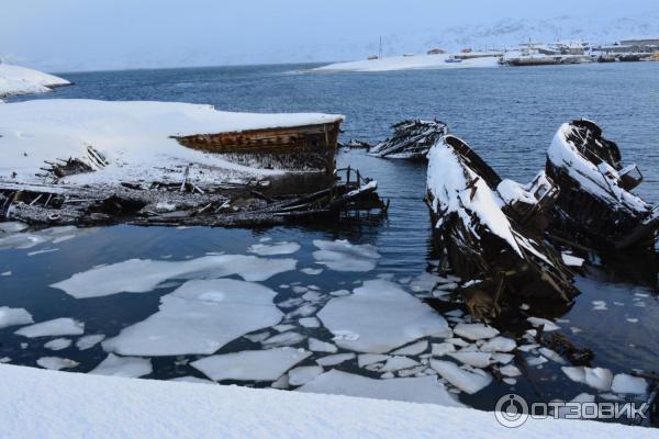 Отдых в Териберке (Россия, Мурманская область) фото