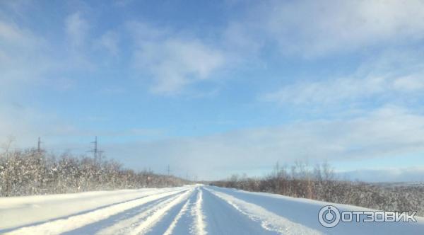 Отдых в Териберке (Россия, Мурманская область) фото