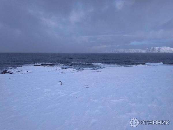 Отдых в Териберке (Россия, Мурманская область) фото