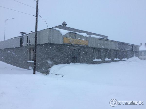 Отдых в Териберке (Россия, Мурманская область) фото