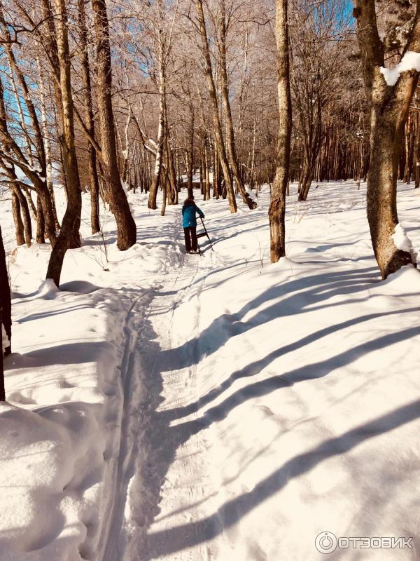 на финских санях