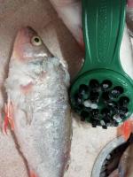 Рыбочистка LuxFish фото