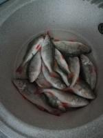 Рыбочистка LuxFish фото