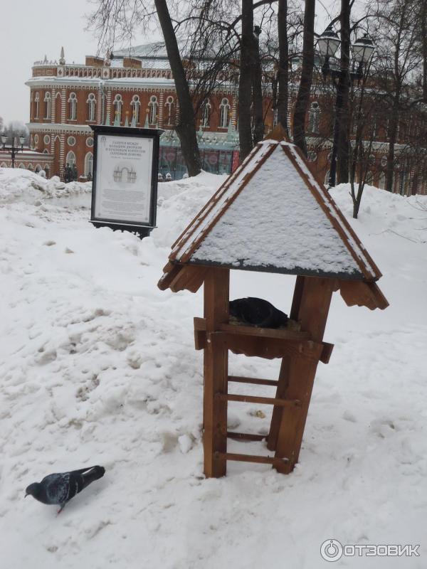 Музей-заповедник Царицыно (Россия, Москва) фото