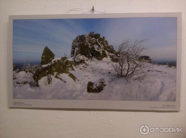 Фотовыставка Натальи Беленцовой - Русская зима - в галерее Артмуза (Россия, Санкт-Петербург) - Наталья Беленцова, Стойкость (Южный Урал, гора Ицыл (хребет Ицыл))