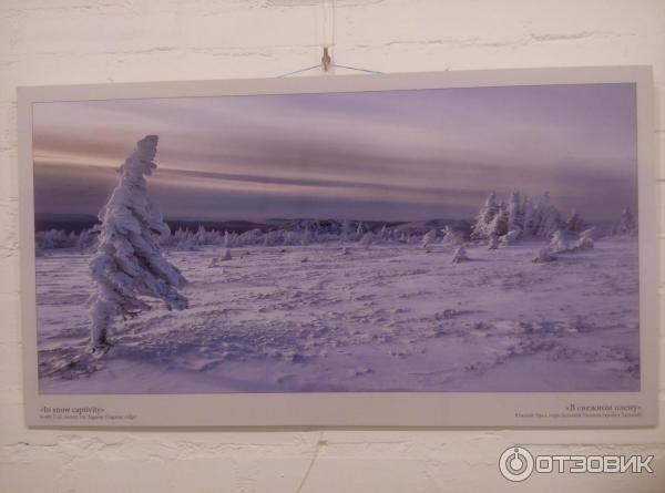 Фотовыставка Натальи Беленцовой - Русская зима - в галерее Артмуза (Россия, Санкт-Петербург) - Наталья Беленцова, В снежном плену (Южный Урал, гора Дальний Таганай (хребет Таганай))