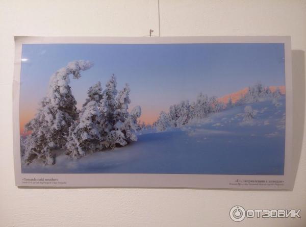 Фотовыставка Натальи Беленцовой - Русская зима - в галерее Артмуза (Россия, Санкт-Петербург) - Наталья Беленцова, По направлению к холодам (Южный Урал, гора Большой Нургуш (хребет Нургуш))