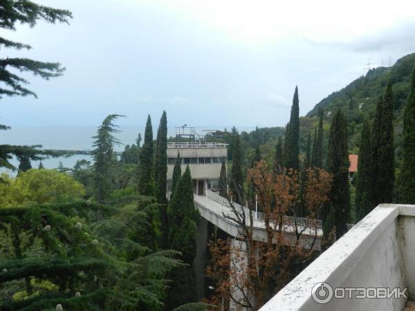 Пансионат Колхида (Абхазия, Гагра) фото