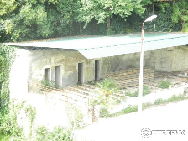 Пансионат Колхида (Абхазия, Гагра) фото