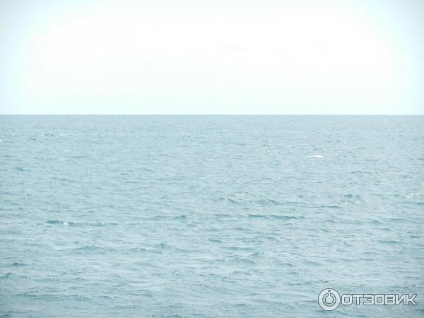 Пансионат Колхида (Абхазия, Гагра) фото