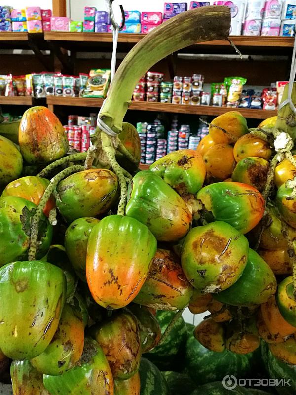 Экзотический фрукт Pejibaye - гроздь