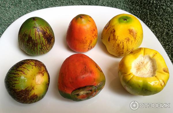 Экзотический фрукт Pejibaye - 3 сорта