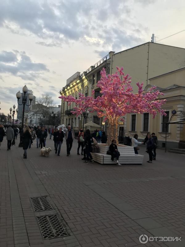 Выставка Дни исторического и культурного наследия - 2018 год на Старом Арбате (Россия, Москва) фото