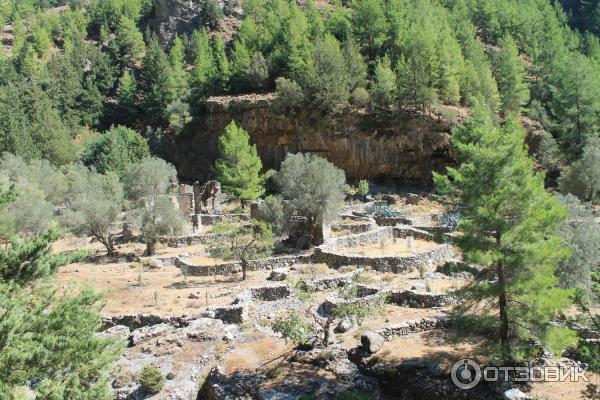 Руины деревни Самария Самарийское ущелье