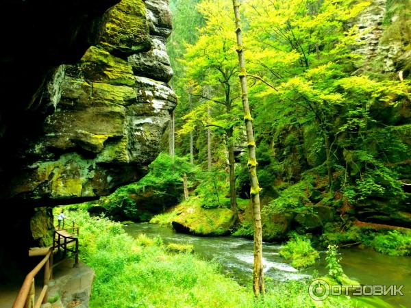 Народный парк Чешская Швейцария (Чехия, Дечин) фото