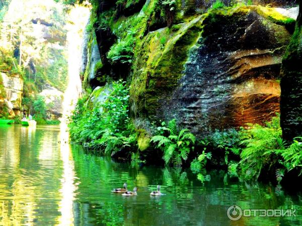 Народный парк Чешская Швейцария (Чехия, Дечин) фото