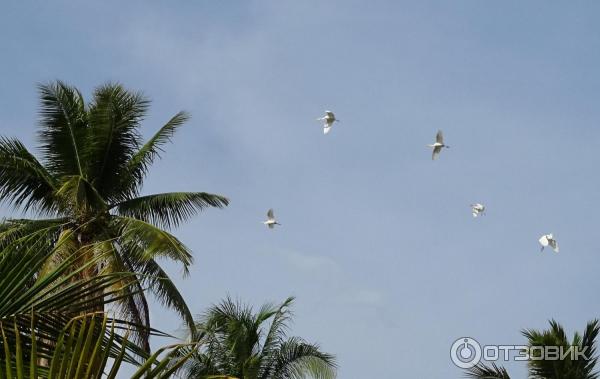 Пляж отеля Sivalai Beach Resort. Koh Mook, Таиланд.