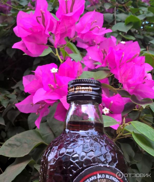 Ром Old Monk фото