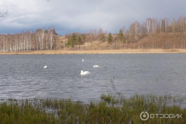 Экскурсия в Псковскую область (Россия, Псковская область) фото