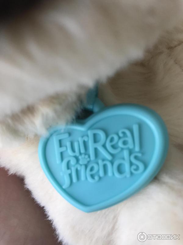 Интерактивный игривый щенок FurReal Friends Джей Джей фото