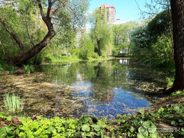 Весенний фестиваль цветов в Аптекарском огороде (Россия, Москва) фото