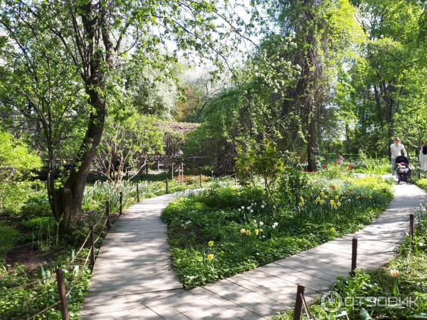 Весенний фестиваль цветов в Аптекарском огороде (Россия, Москва) фото