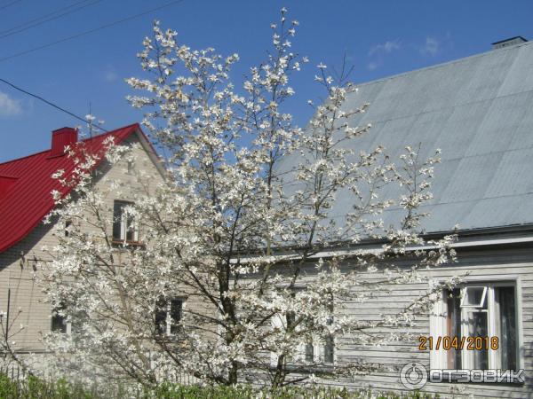 Фуникулер в Каунасе (Литва) фото