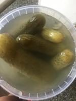 Огурцы соленые ФерЭльГам фото