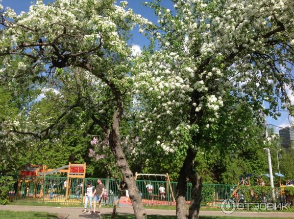 Парк культуры и отдыха Красная Пресня (Россия, Москва) фото