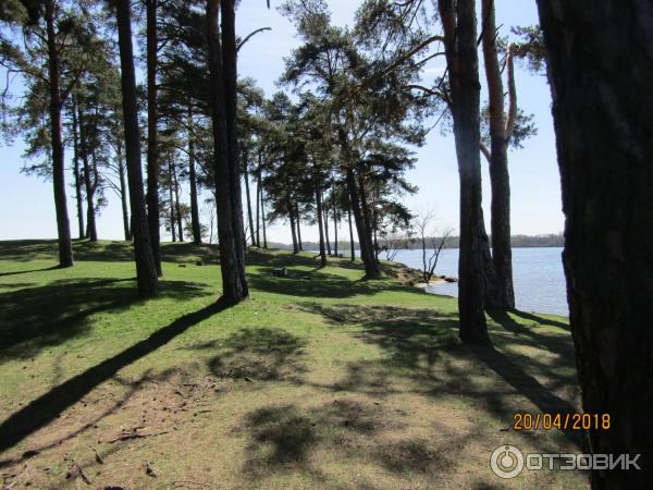 Отдых на Каунасском море (Литва, Каунас) фото