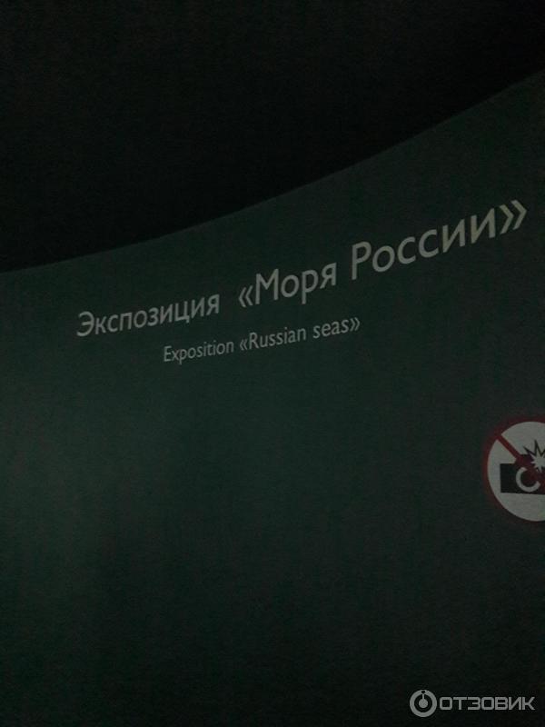 Центр океанографии и морской биологии Москвариум (Россия, Москва) фото