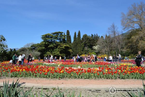 Никитский Ботанический сад (Крым, Ялта) фото