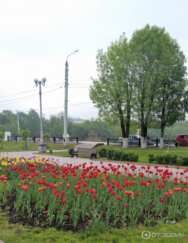 Сквер И. А. Крылова (Россия, Тверь) фото