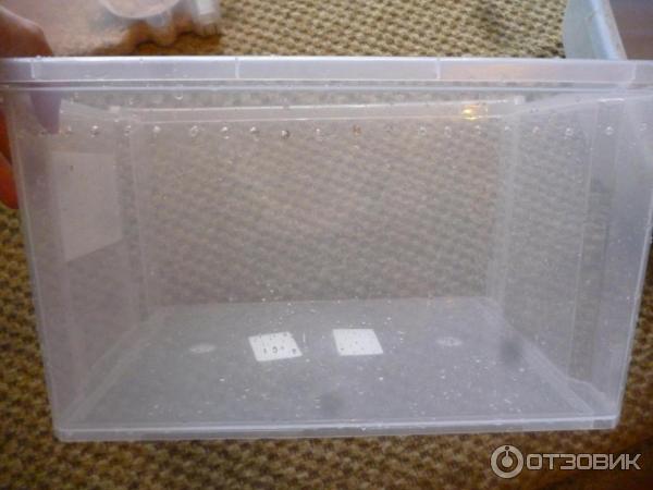 Ящик для хранения BranQ Unibox фото