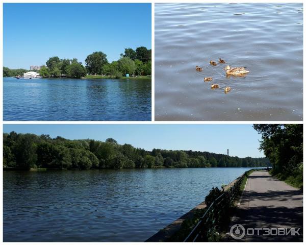 Живописный мост (Россия, Москва) фото