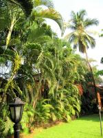 Отель Sea Breeze Resort Candolim (Индия, Гоа) фото