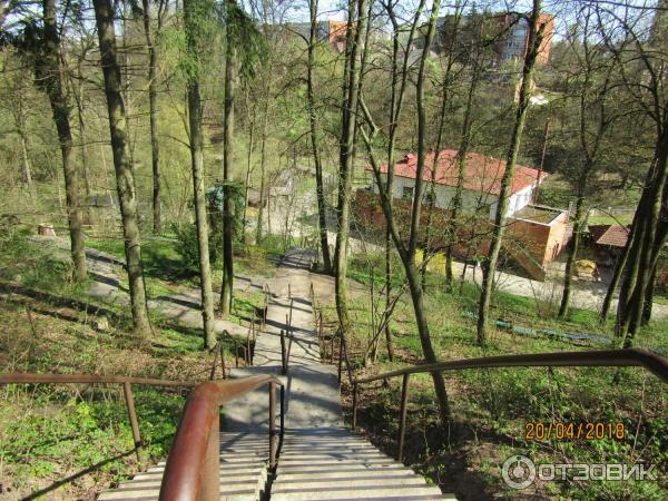 Зоопарк в г. Каунас (Литва) фото