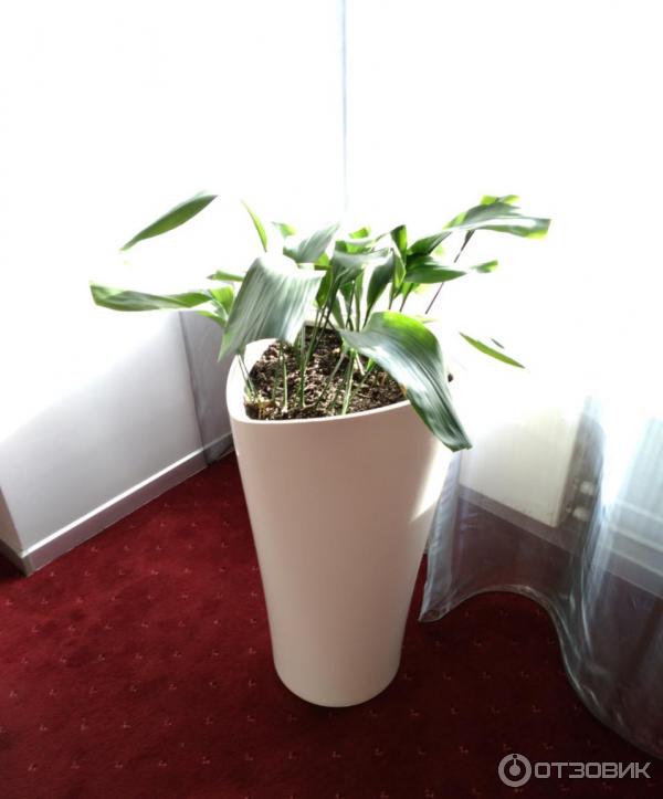 Гостиница Маринс Парк Отель Новосибирск 4 (ex. Конгресс-отель Новосибирск) (Россия, Новосибирск) фото