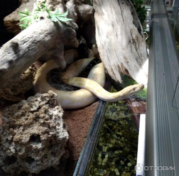 Гостиница Маринс Парк Отель Новосибирск 4 (ex. Конгресс-отель Новосибирск) (Россия, Новосибирск) фото